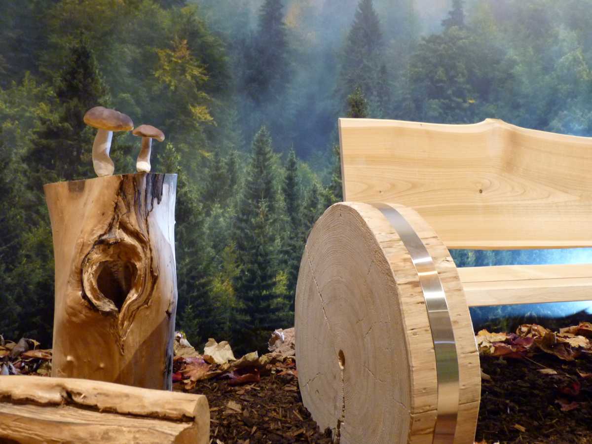 Rückblick Ausstellung Rückblick Ausstellung