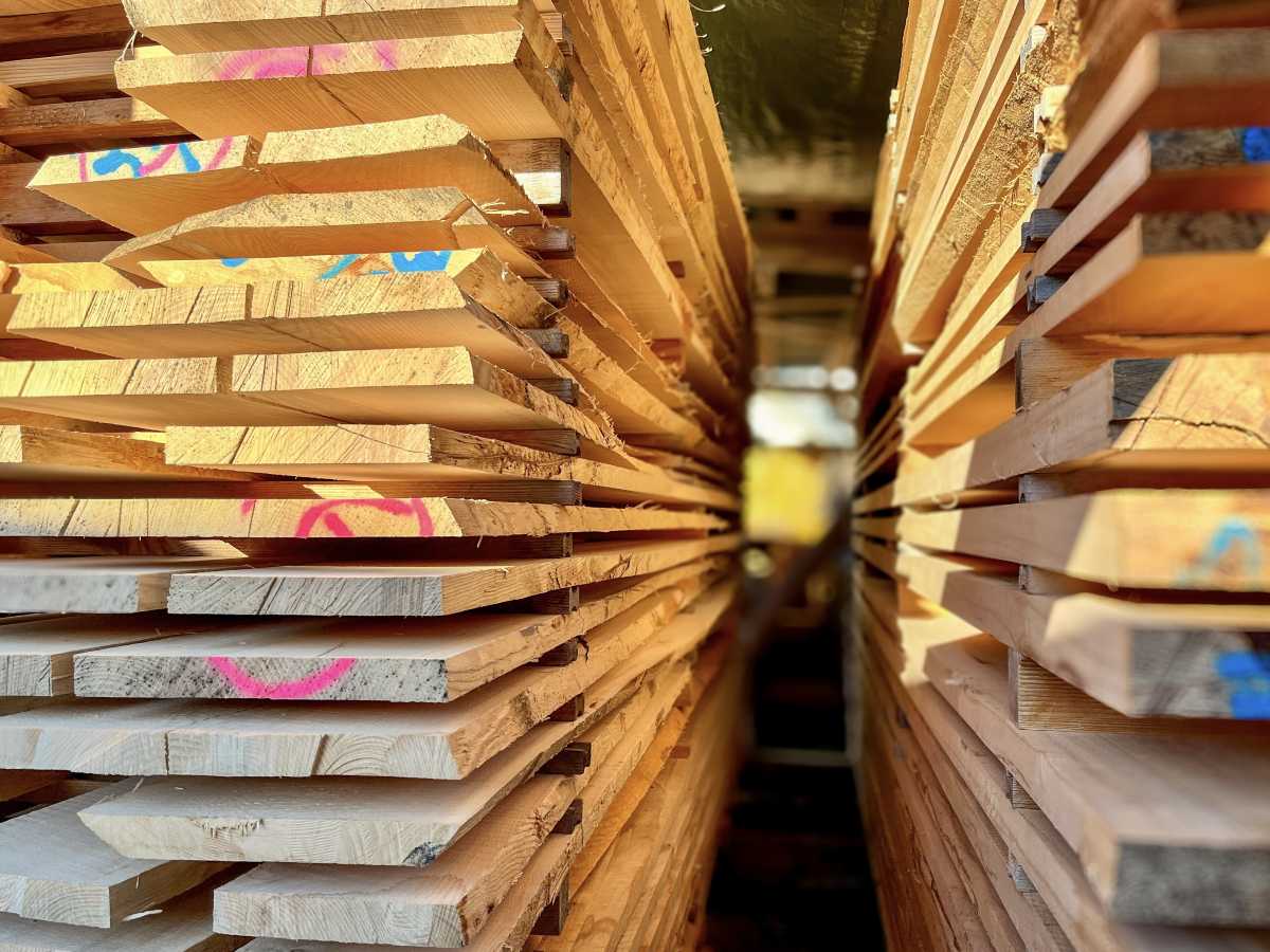 Schweizer Mondholz am Lager